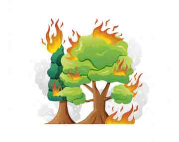 Campagna Anti Incendio boschivo 2022: pubblicata la brochure realizzata da Anci e VVF